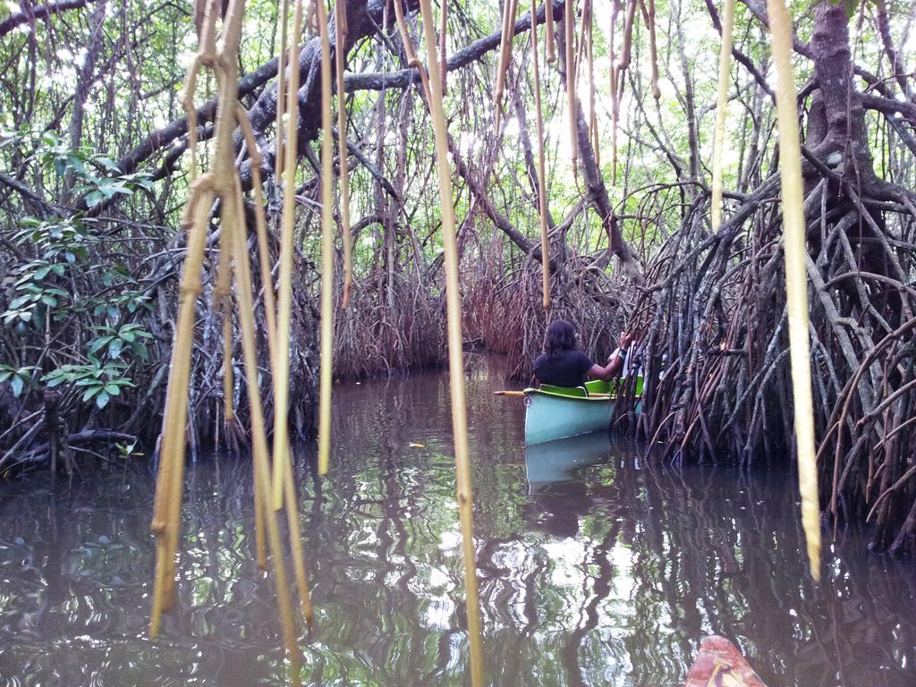 Villa Ali Unawatuna Dış mekan fotoğraf